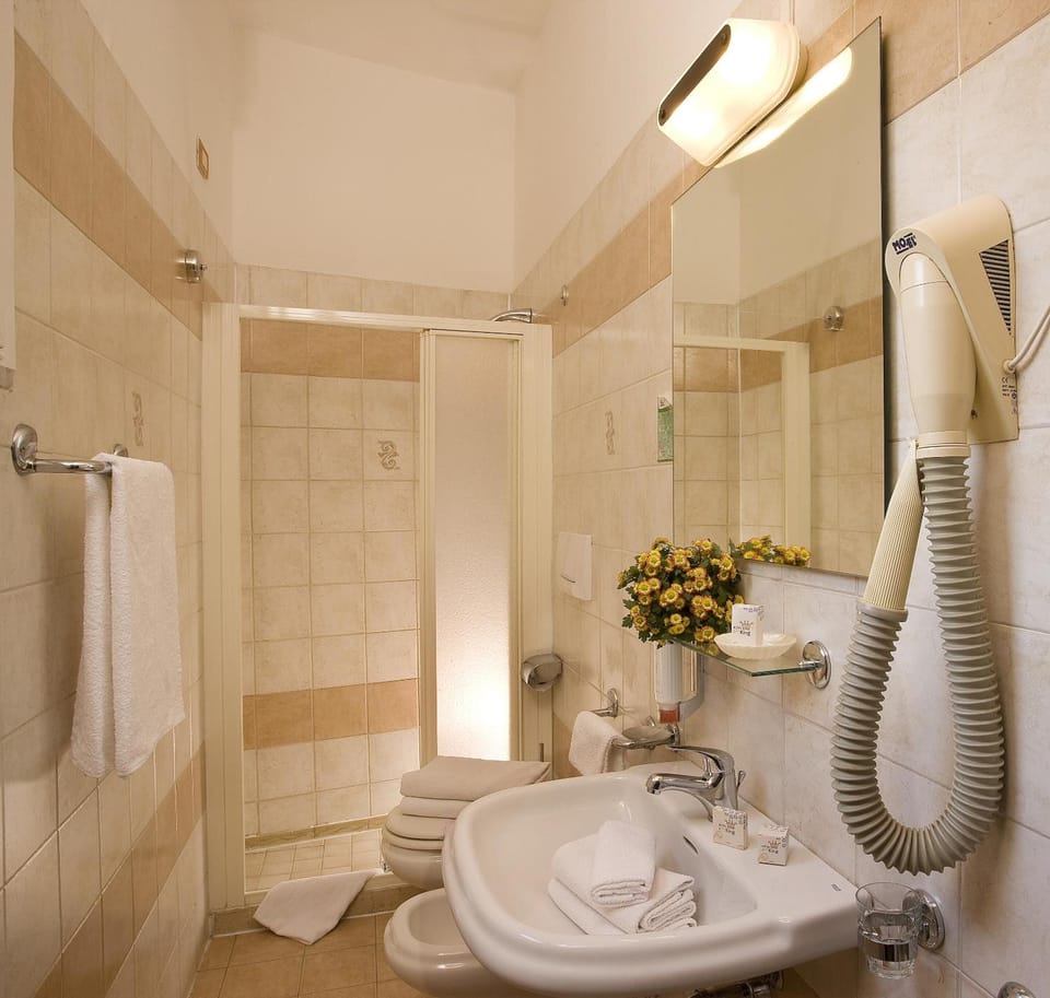 Shower, free toiletries, hair dryer, bidet