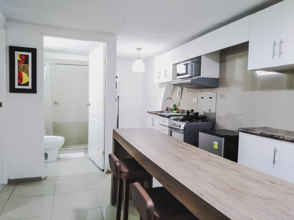 Standard Apartment, 1 Bedroom, Kitchen | Private kitchen | Coffee/tea maker, fridge, microwave, oven