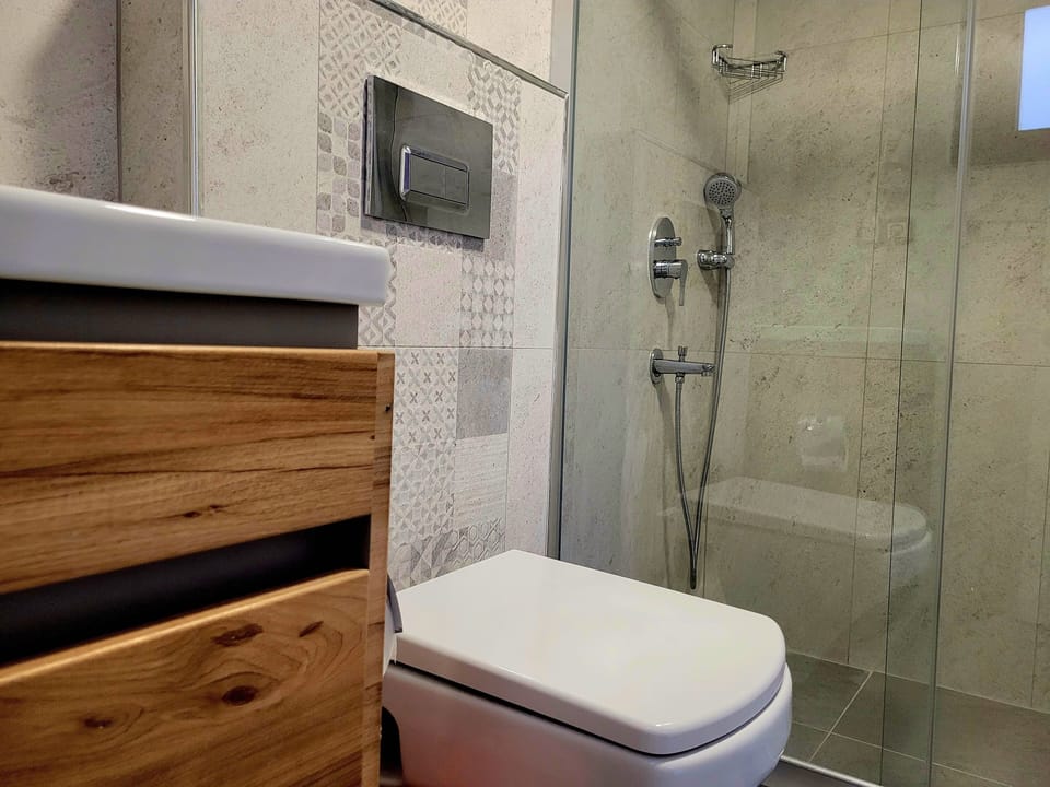 Shower, free toiletries, hair dryer, slippers