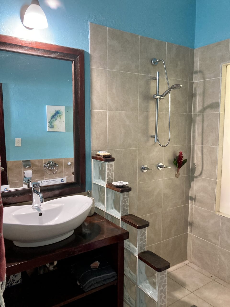 Premium Double Room, 1 Queen Bed, Ocean View | Bathroom | Shower, free toiletries, towels