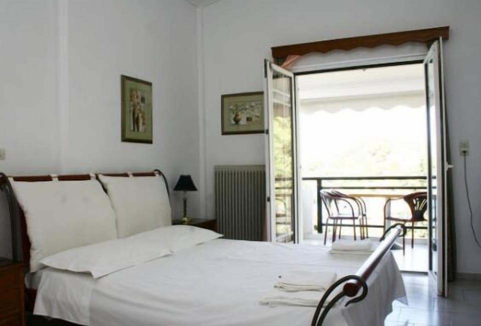 Double or Twin Room | Iron/ironing board, free WiFi