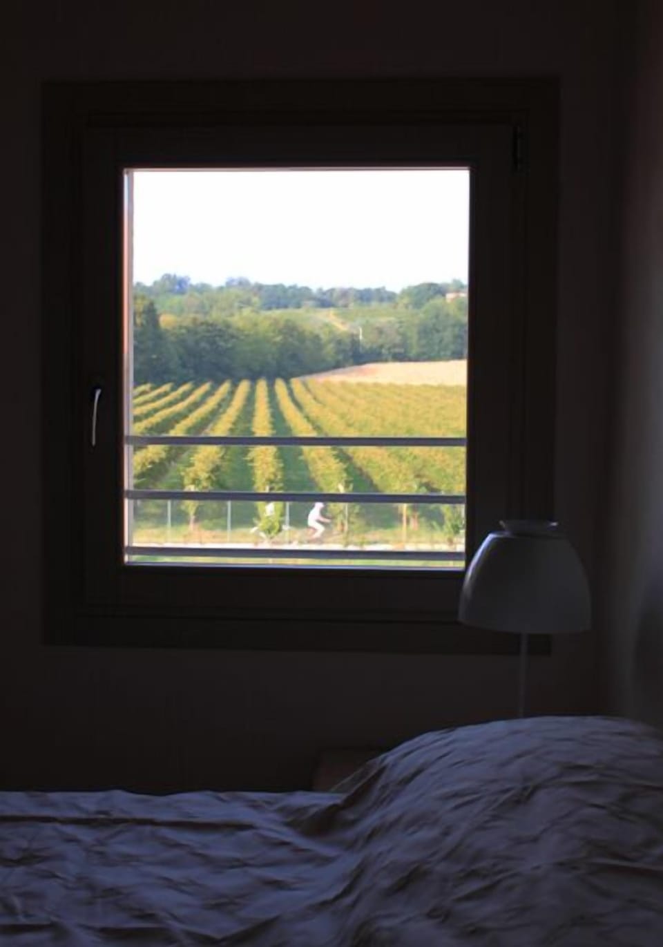 View from room