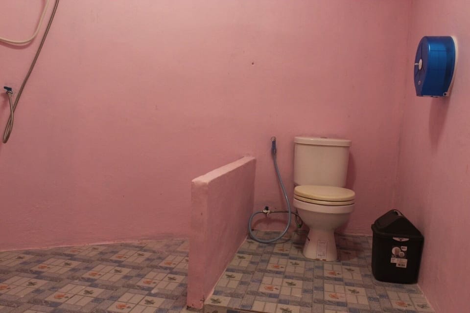 Family Room | Bathroom | Shower, free toiletries, hair dryer, towels