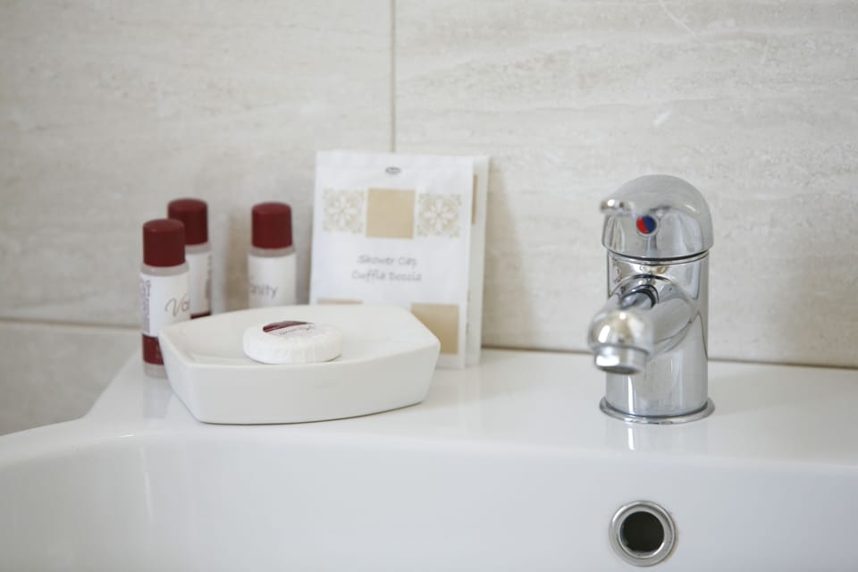 Deluxe Double or Twin Room | Bathroom | Shower, free toiletries, hair dryer, bathrobes