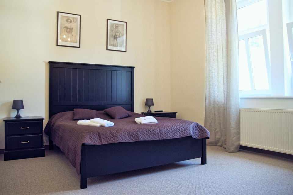 Comfort Double Room | Iron/ironing board, free WiFi, bed sheets