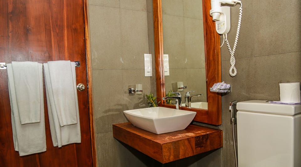 Deluxe Room | Bathroom | Shower, free toiletries, hair dryer, bidet