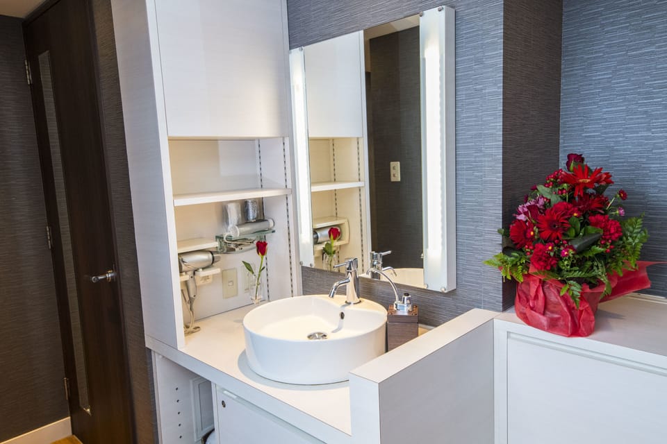 Bathroom sink