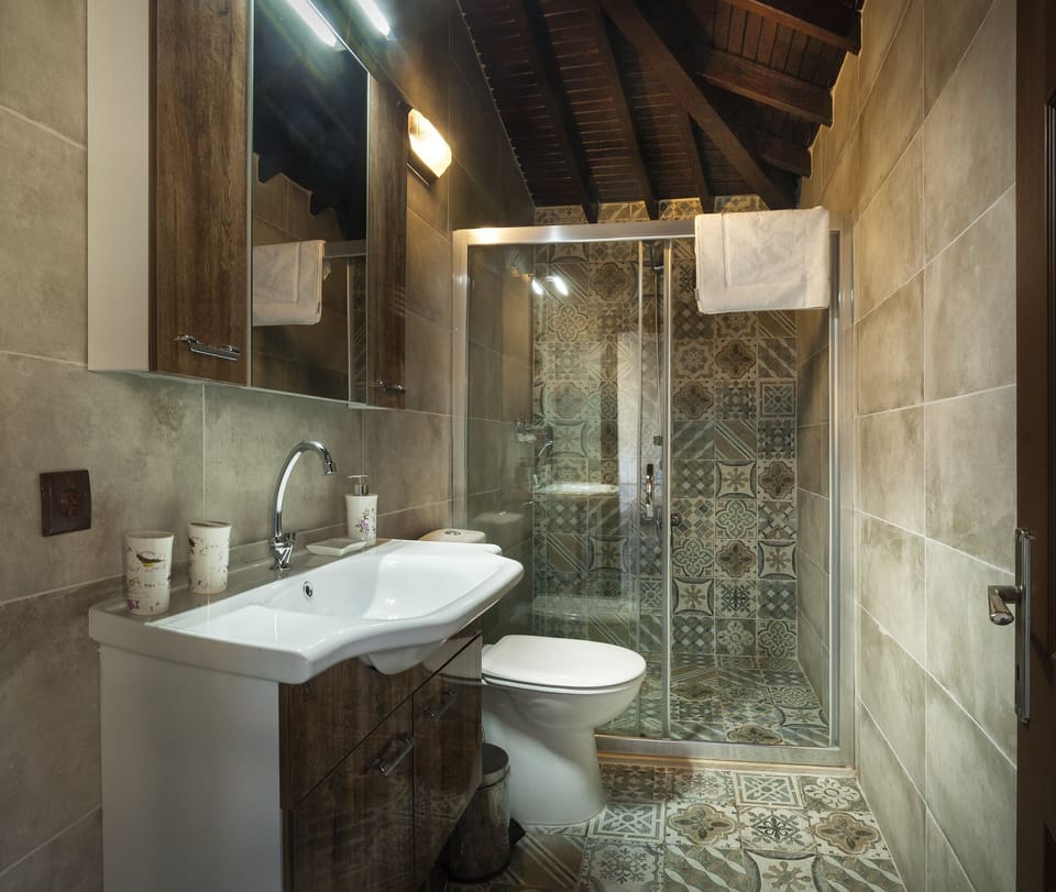 Shower, free toiletries, hair dryer, slippers