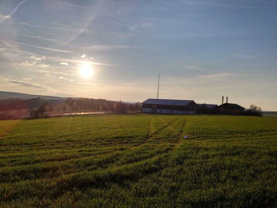 View from property
