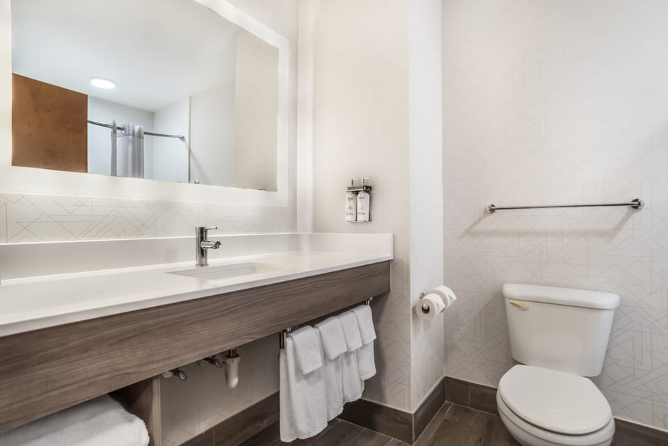 Standard Room, 1 King Bed | Bathroom | Free toiletries, hair dryer, towels, soap