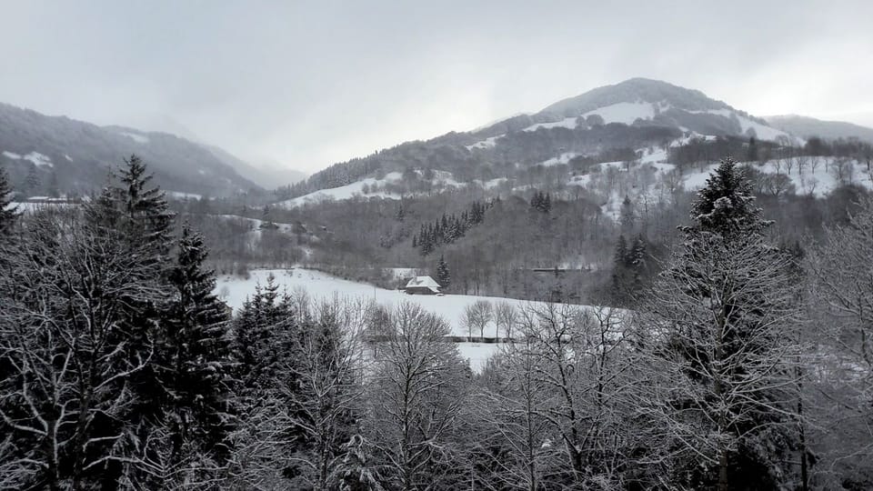 Mountain view