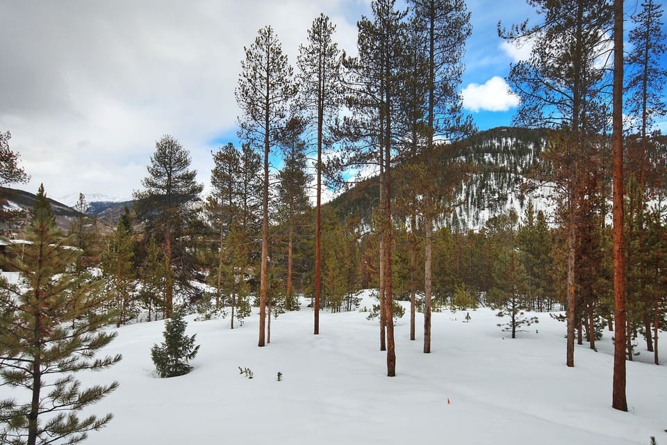 Condo, 2 Bedrooms | Snow and ski sports