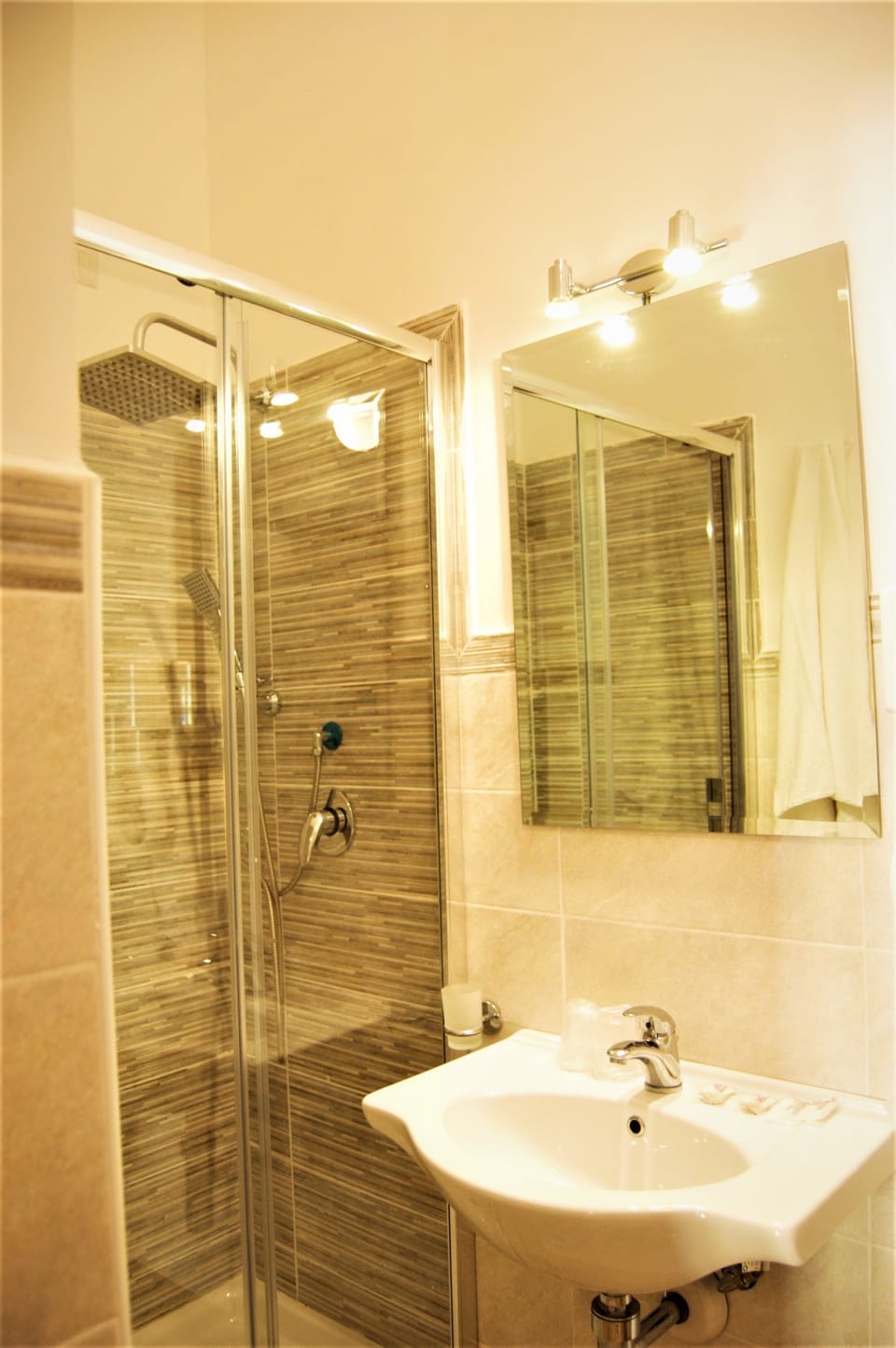 Shower, free toiletries, hair dryer, bidet