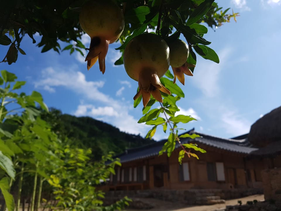 Jookhyeon Dong Nong | Garden view
