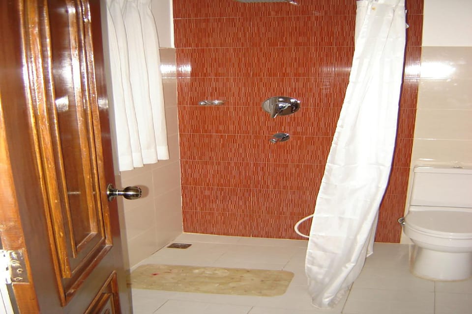 Deluxe Double or Twin Room, 1 Bedroom | Bathroom | Shower, free toiletries, towels