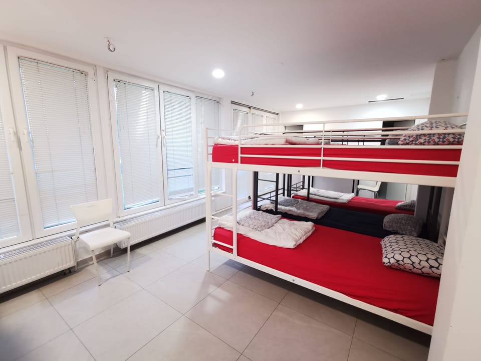 One Bed in 8 Bed Mixed Dormitory | Desk, bed sheets