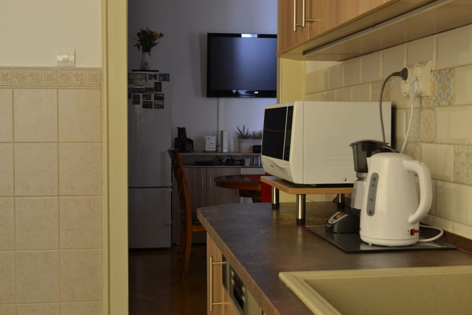 Family Apartment, 4 Bedrooms, Kitchen, Courtyard Area | Private kitchen | Full-size fridge, microwave, stovetop, dishwasher