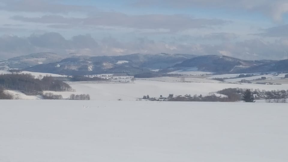 Snowshoeing