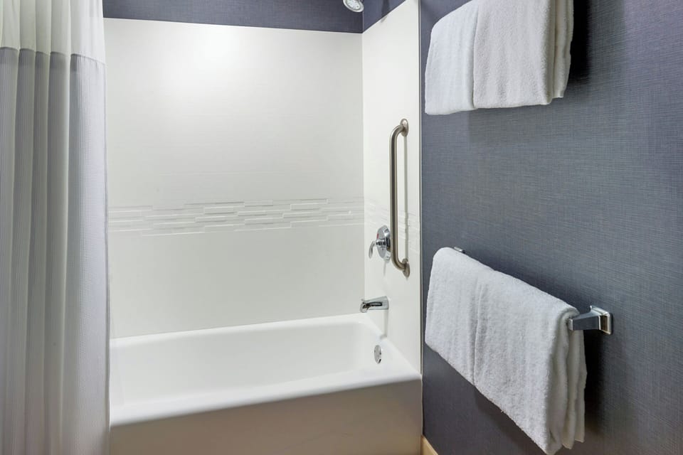 Combined shower/tub, free toiletries, hair dryer, towels