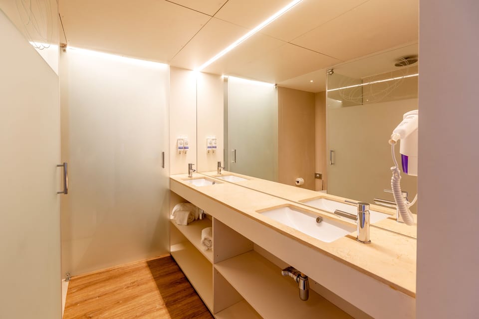 Premium Room | Bathroom | Shower, free toiletries, hair dryer, towels