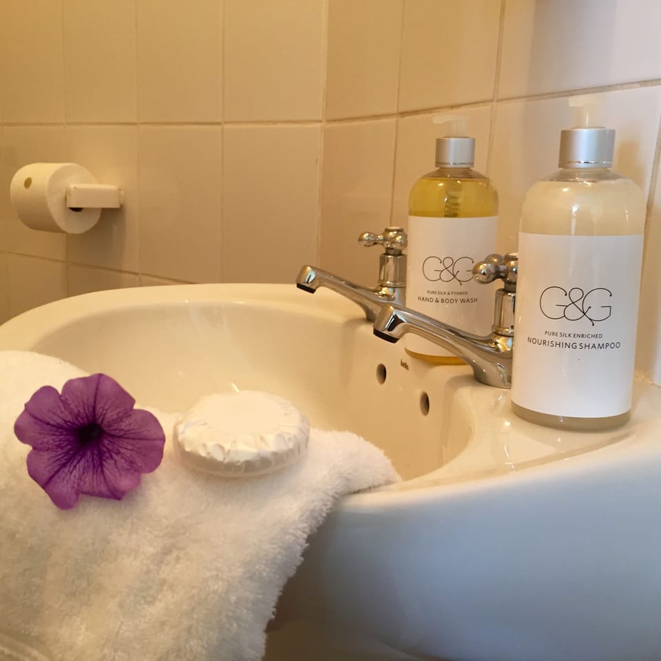 Twin Room | Bathroom | Shower, free toiletries, towels