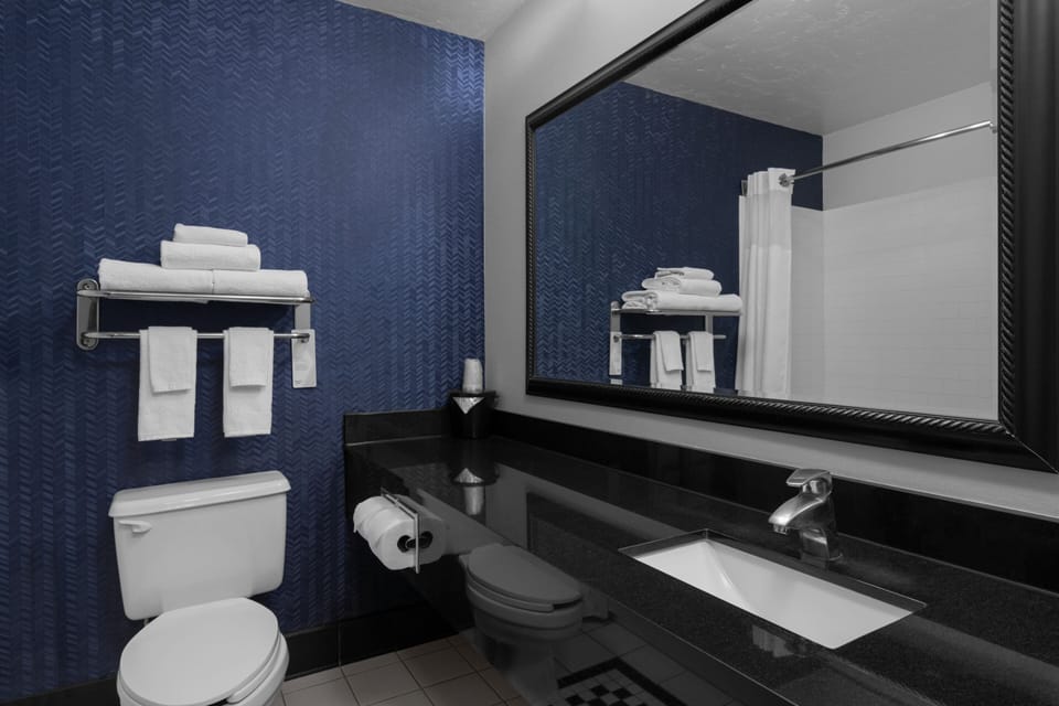 Combined shower/tub, free toiletries, hair dryer, towels