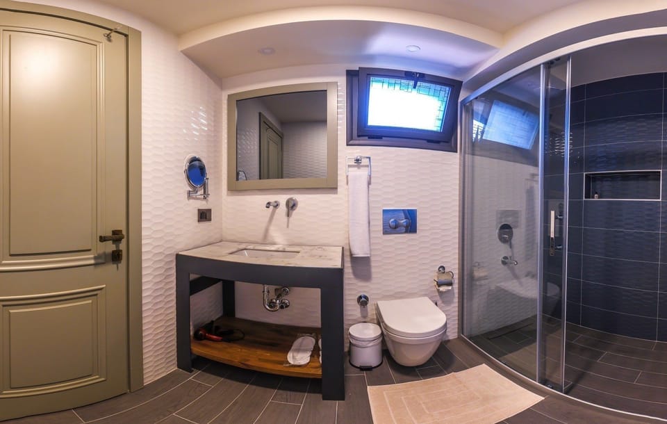 Deluxe Suite | Bathroom | Shower, free toiletries, hair dryer, slippers