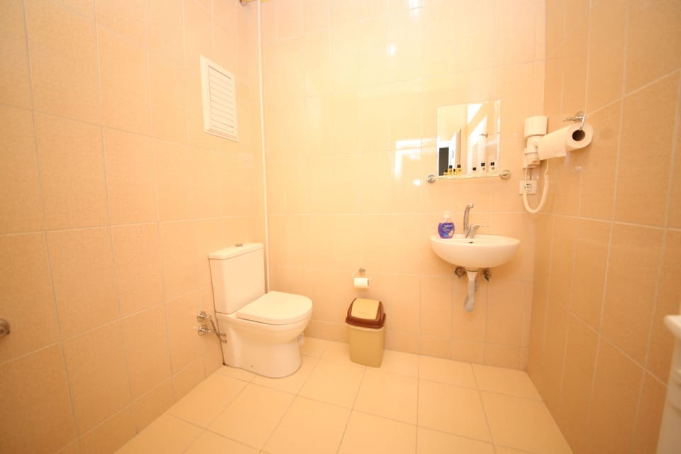 Shower, free toiletries, hair dryer, slippers