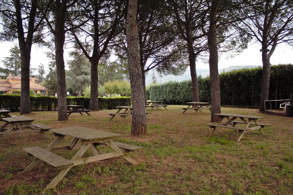 BBQ/picnic area