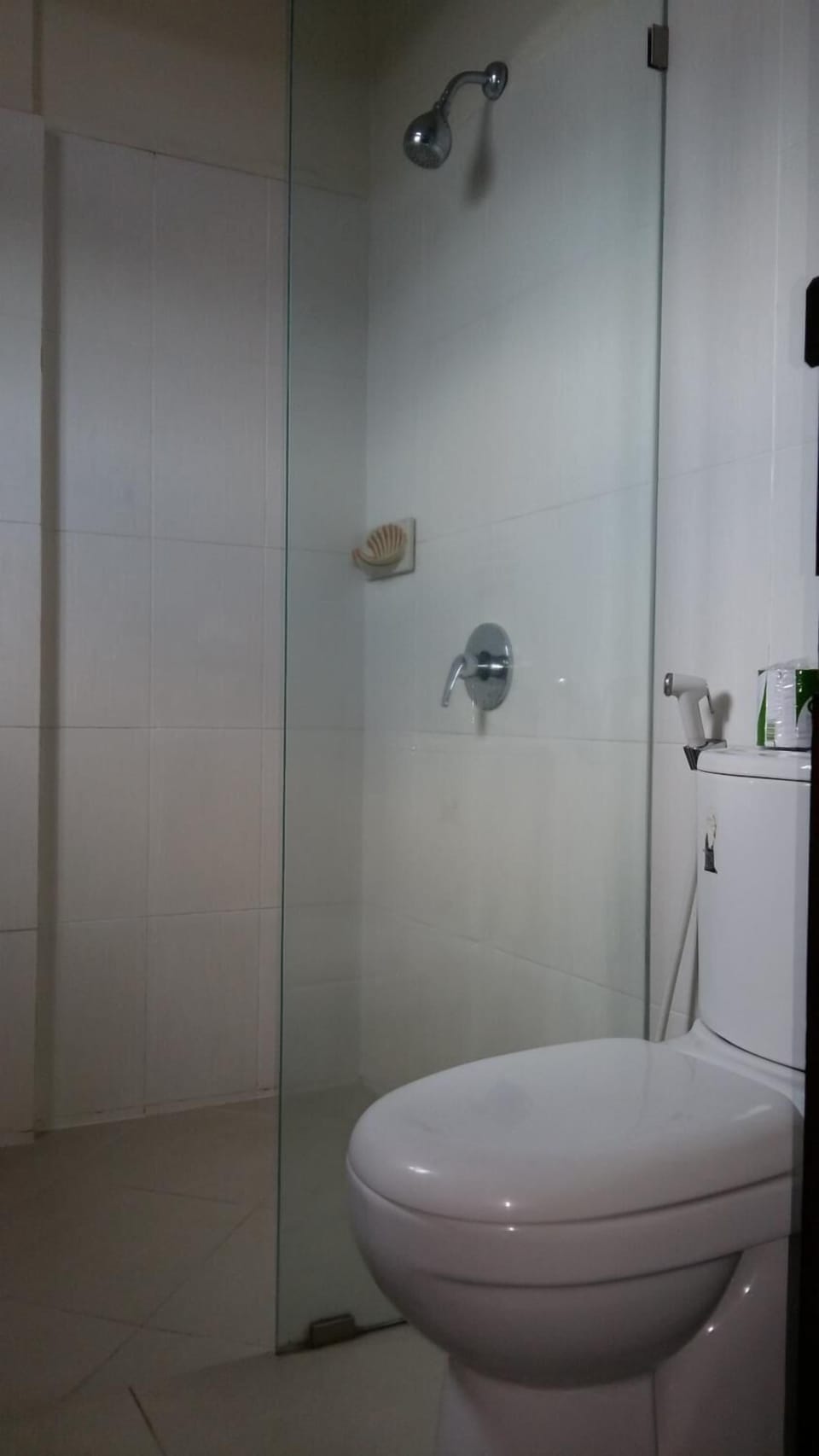 Shower, free toiletries, towels