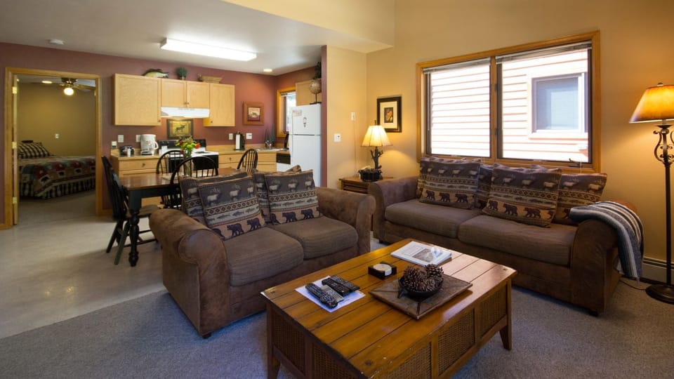 LCD TV, fireplace, DVD player