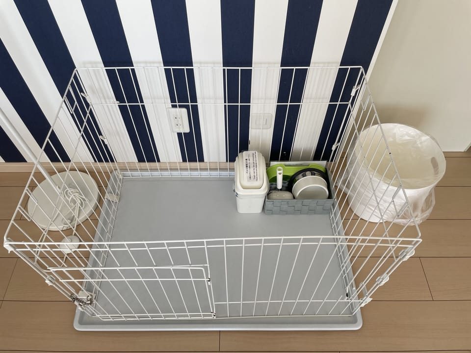 Pet-friendly amenities