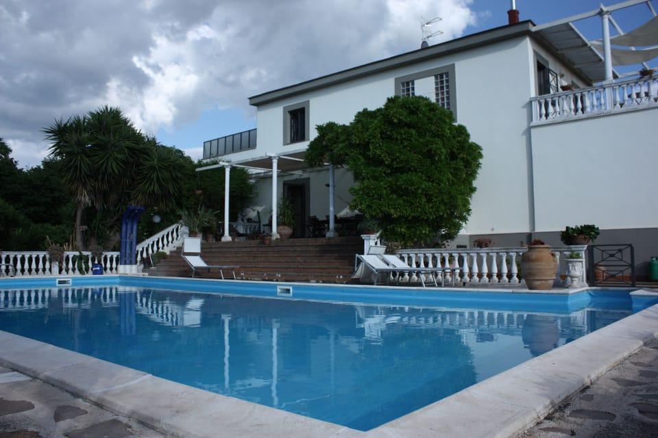 Outdoor pool, sun loungers