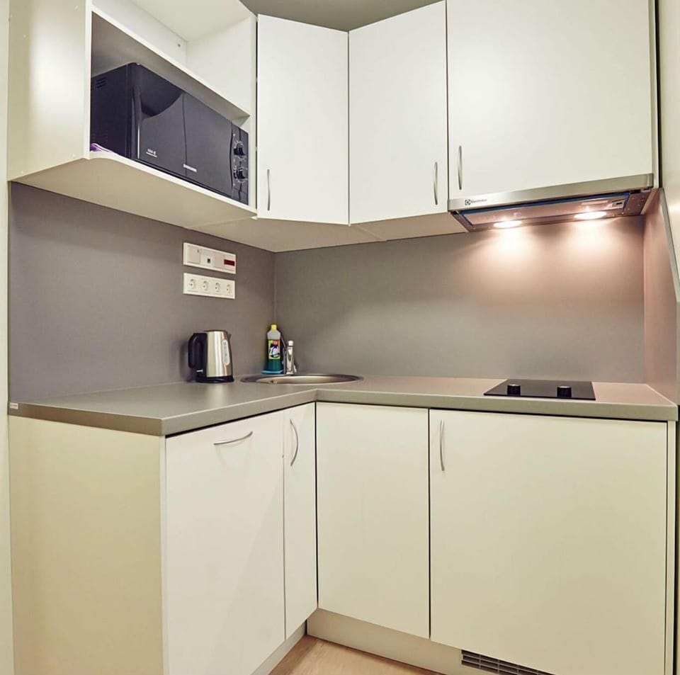 Basic Apartment, 1 Double Bed, Annex Building (Breakfast not included) | Private kitchenette | Fridge, coffee/tea maker, electric kettle