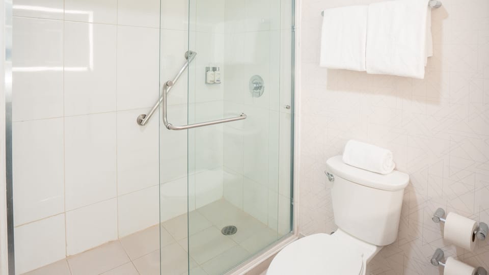 Shower, free toiletries, hair dryer, towels