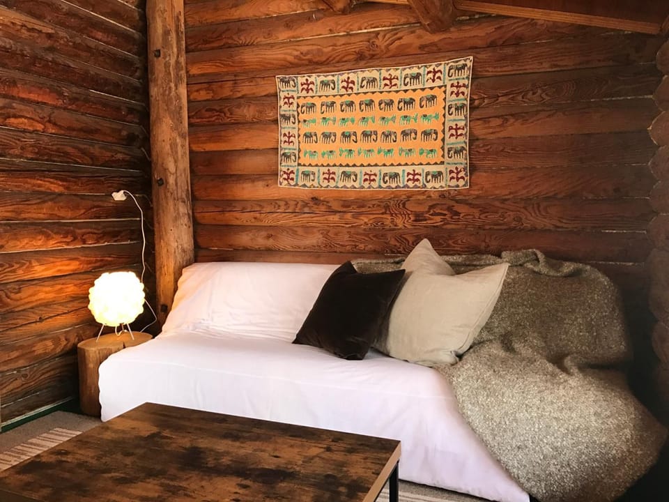 Bed in Deluxe Dorm Room | Living room