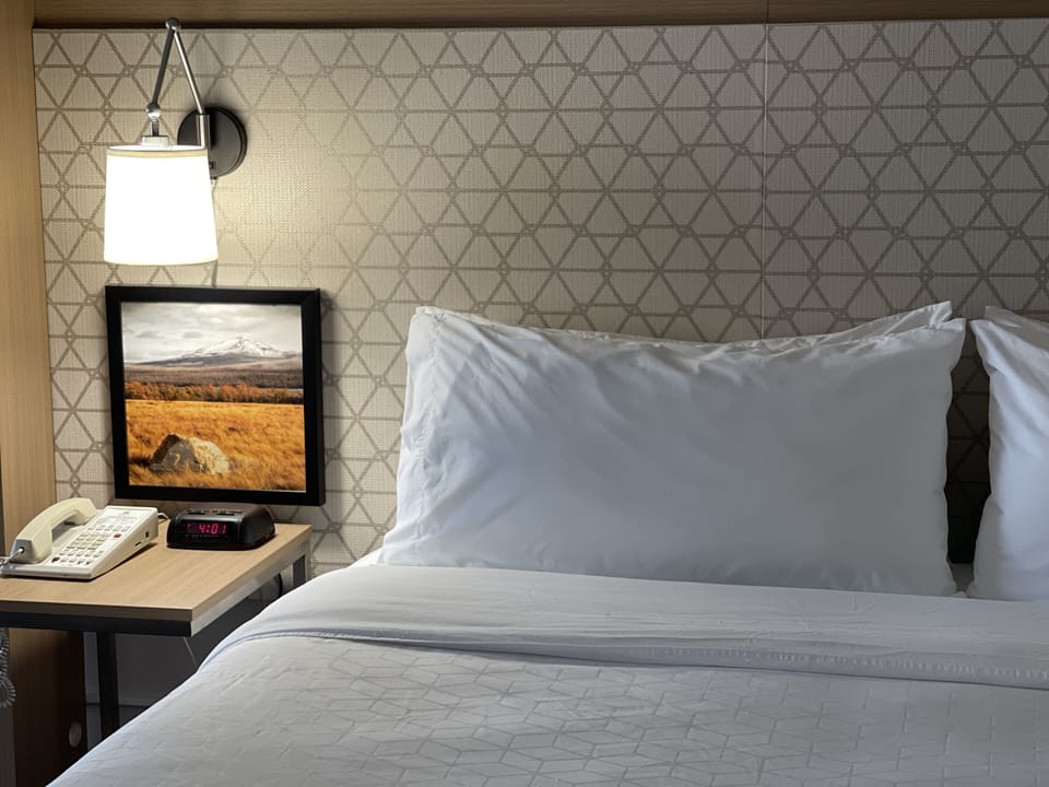 Standard Room, 1 King Bed | Premium bedding, pillowtop beds, in-room safe, desk
