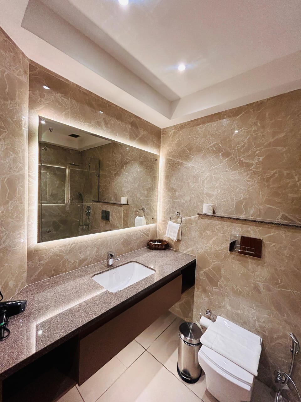 Premium Room | Bathroom | Shower, rainfall showerhead, free toiletries, hair dryer