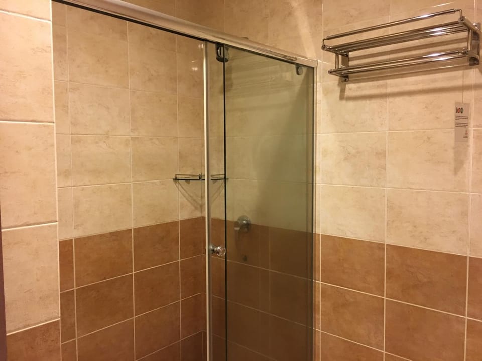 Shower, free toiletries, hair dryer, towels