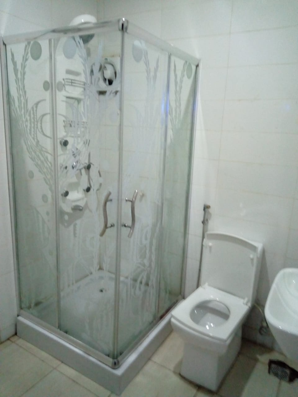 Bathroom shower