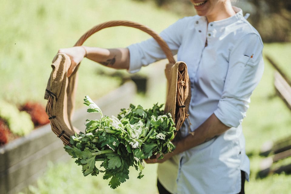 Breakfast, lunch, dinner served; Regional cuisine 
