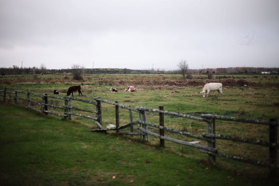 View from property