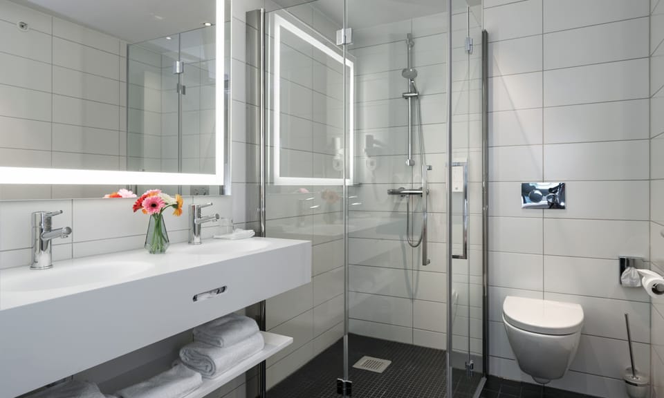 Free toiletries, hair dryer, towels
