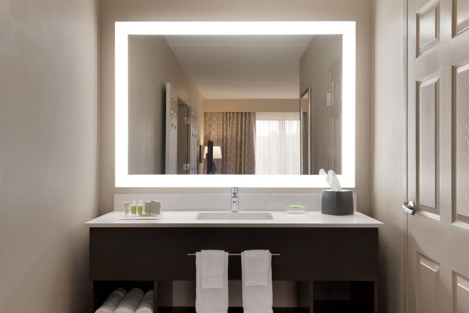 Suite, 1 King Bed | Bathroom | Free toiletries, hair dryer, towels, soap