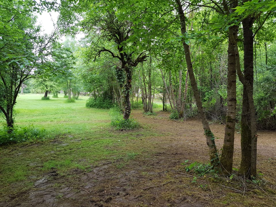 Deluxe Quadruple Room, 2 Bedrooms, Accessible, Garden View | View from room