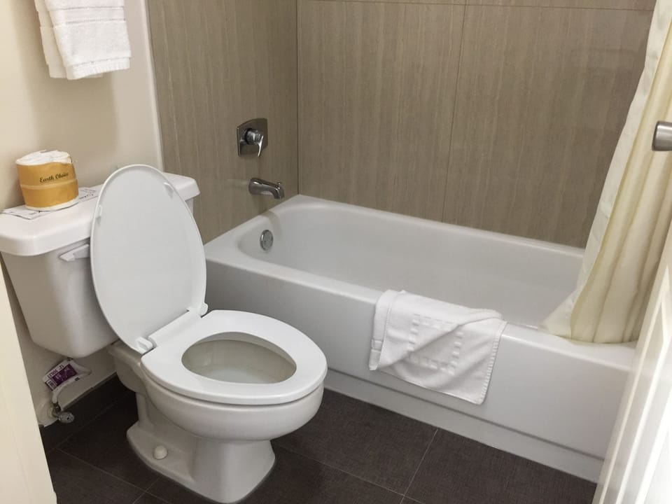 Free toiletries, hair dryer, towels