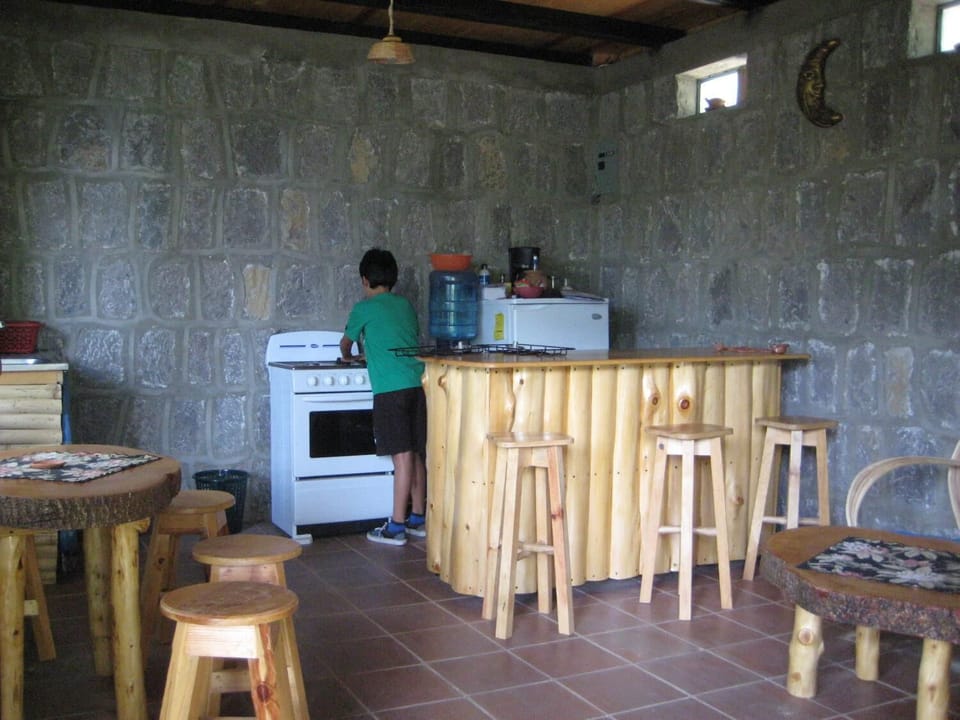 Coffee/tea maker, full-size fridge, oven, stovetop