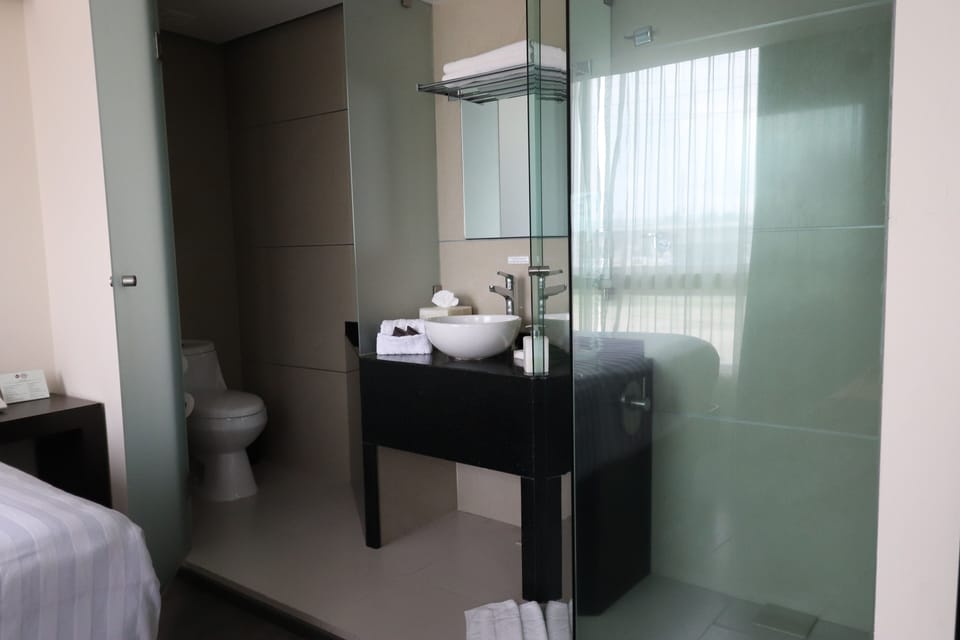 Shower, rainfall showerhead, free toiletries, hair dryer
