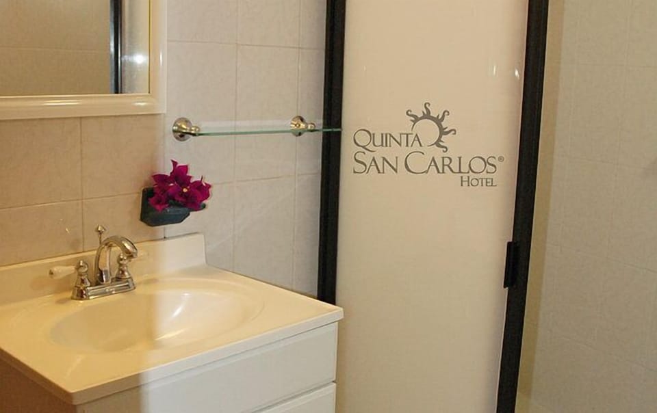 Single Room | Bathroom | Shower, hair dryer, towels