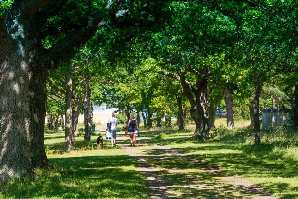 BBQ/picnic area